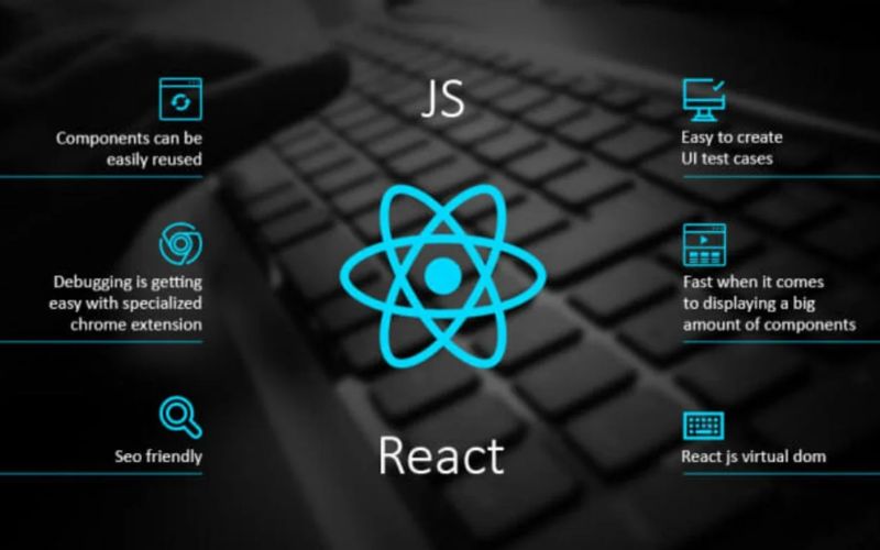 reactjs development company india guide